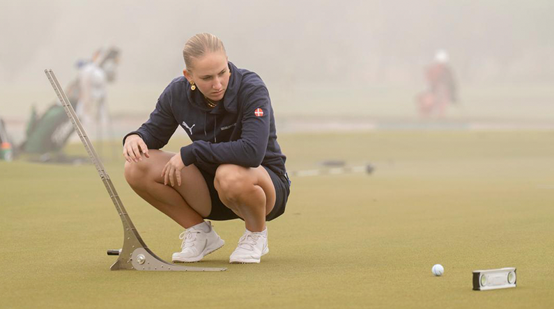 Landshold træning green