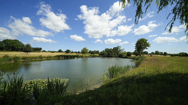 Golfhul sø