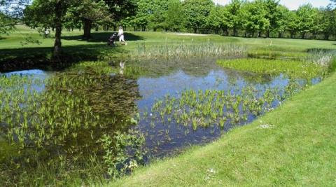 Golf Gavner miljø klima sundhed