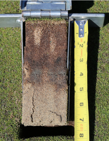 Lagdeling golfbane græs